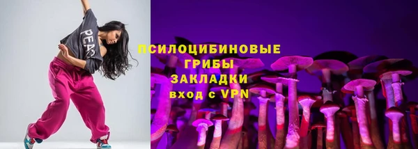 твердый Аркадак