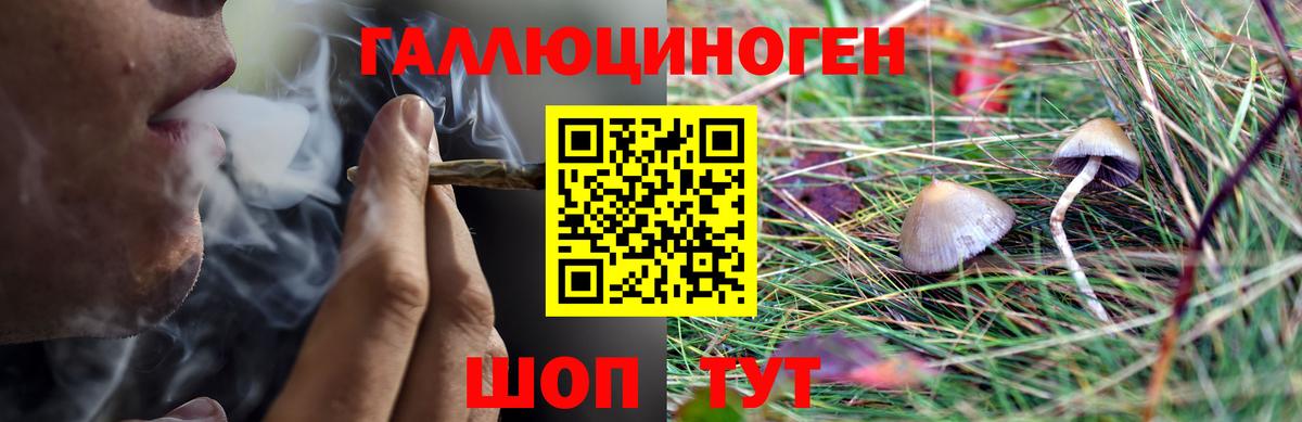 Галлюциногенные грибы GOLDEN TEACHER  где найти   Галлюциногенные грибы MAGIC MUSHROOMS  Белогорск  Вход с VPN 