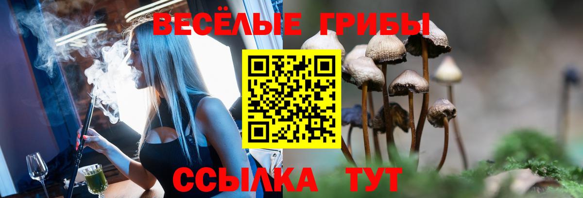 Галлюциногенные грибы прущие грибы Белогорск